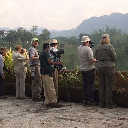 Rainforest Edge Weddagala المظهر الخارجي الصورة