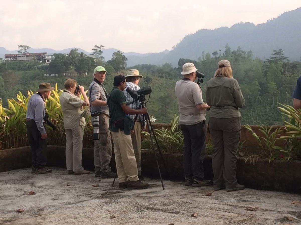 Rainforest Edge Weddagala المظهر الخارجي الصورة